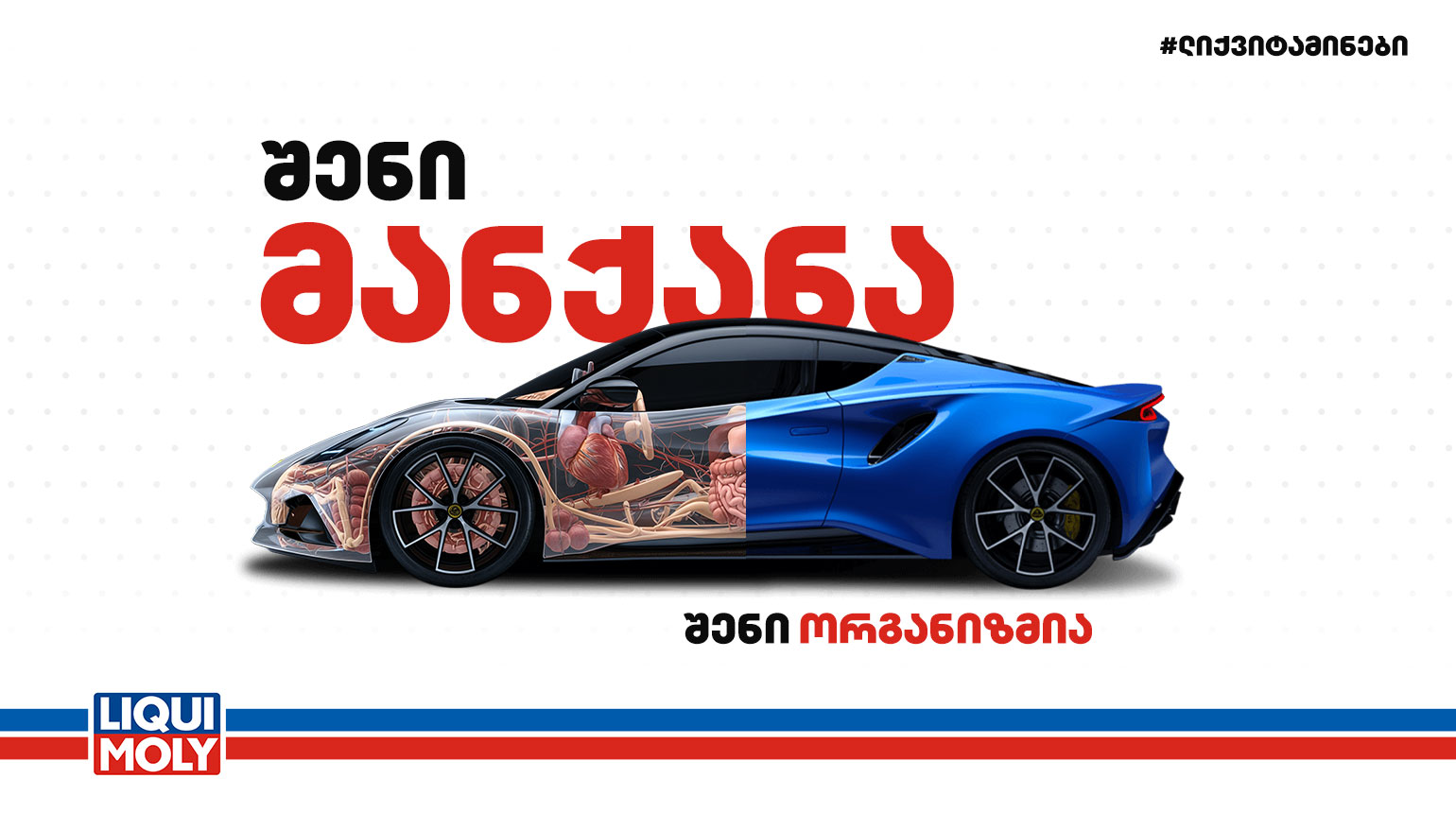 ლიქვიტამინები: შენი მანქანა ცოცხალი ორგანიზმია