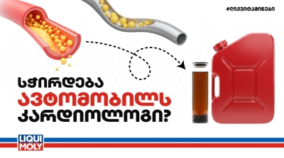 სისხლი და საწვავი: სჭირდება ავტომობილს „კარდიოლოგი“?