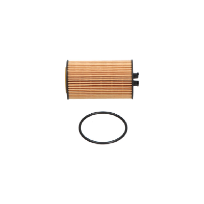 AMC Filter Oil