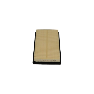 AMC Filter Air
