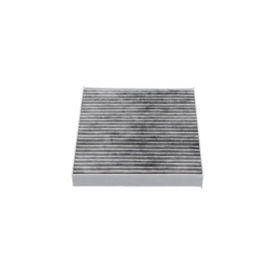 AMC Filter Cabin-air Carbon